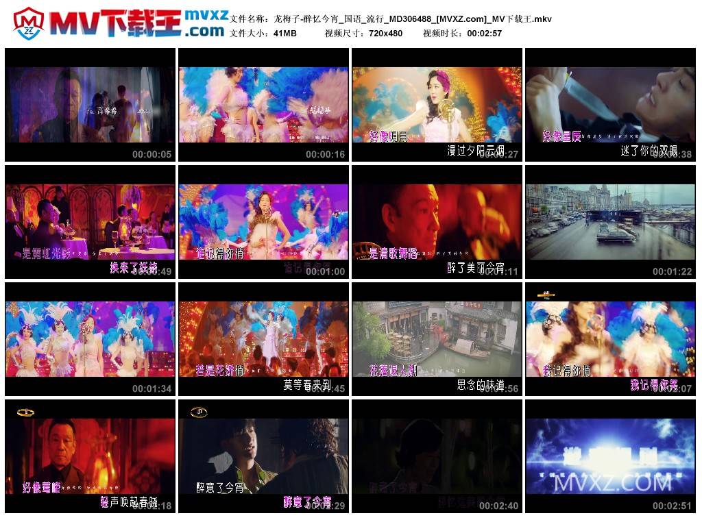 龙梅子-醉忆今宵_国语_流行_MD306488